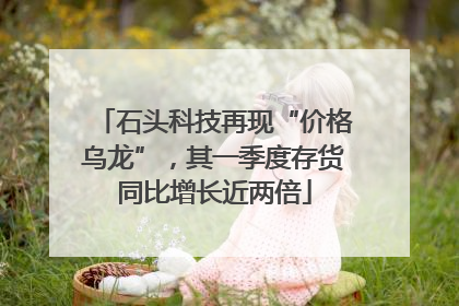 石头科技再现“价格乌龙”，其一季度存货同比增长近两倍