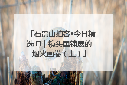 石景山拍客•今日精选 ㉓｜镜头里铺展的烟火画卷（上）