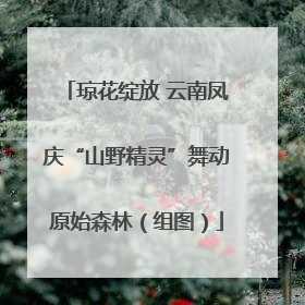 琼花绽放 云南凤庆“山野精灵”舞动原始森林（组图）