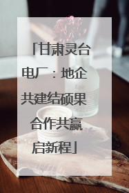 甘肃灵台电厂：地企共建结硕果 合作共赢启新程