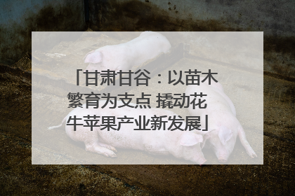 甘肃甘谷：以苗木繁育为支点 撬动花牛苹果产业新发展
