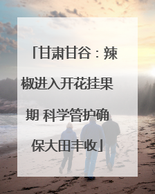 甘肃甘谷：辣椒进入开花挂果期 科学管护确保大田丰收