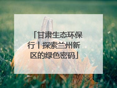甘肃生态环保行丨探索兰州新区的绿色密码
