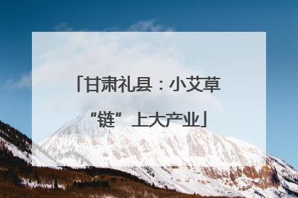 甘肃礼县：小艾草“链”上大产业