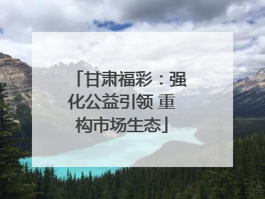 甘肃福彩：强化公益引领 重构市场生态