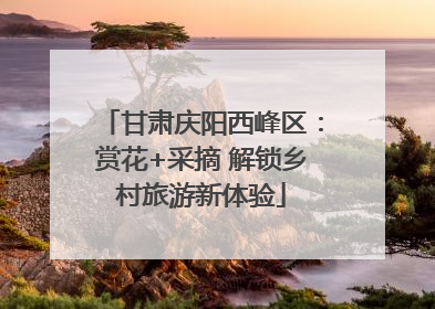 甘肃庆阳西峰区：赏花+采摘 解锁乡村旅游新体验
