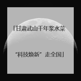 甘肃武山千年浆水菜“科技焕新”走全国