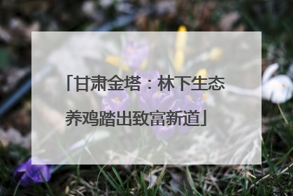 甘肃金塔：林下生态养鸡踏出致富新道