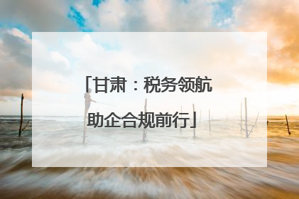 甘肃：税务领航 助企合规前行