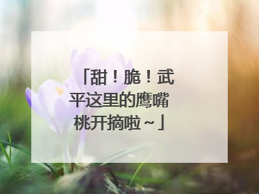 甜！脆！武平这里的鹰嘴桃开摘啦～