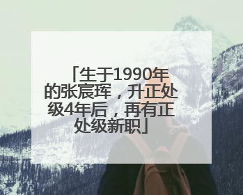生于1990年的张宸珲，升正处级4年后，再有正处级新职