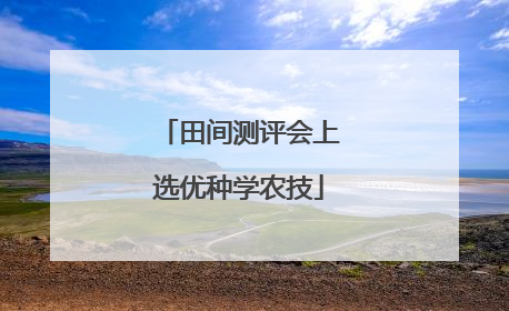田间测评会上选优种学农技