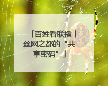 百姓看联播丨丝网之都的“共享密码”