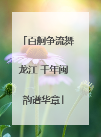 百舸争流舞龙江 千年闽韵谱华章