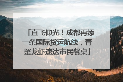 直飞仰光！成都再添一条国际货运航线，青蟹龙虾速达市民餐桌