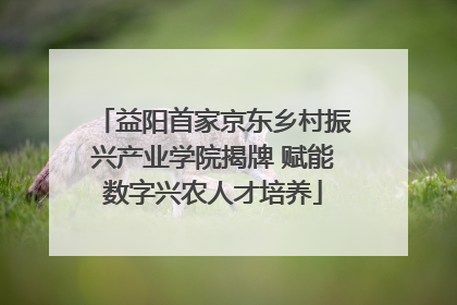 益阳首家京东乡村振兴产业学院揭牌 赋能数字兴农人才培养