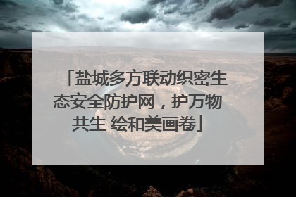 盐城多方联动织密生态安全防护网，护万物共生 绘和美画卷