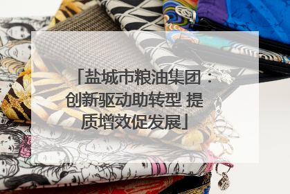 盐城市粮油集团：创新驱动助转型 提质增效促发展