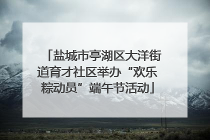 盐城市亭湖区大洋街道育才社区举办“欢乐粽动员”端午节活动