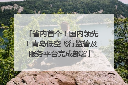 省内首个！国内领先！青岛低空飞行监管及服务平台完成部署