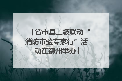 省市县三级联动“消防审验专家行”活动在德州举办