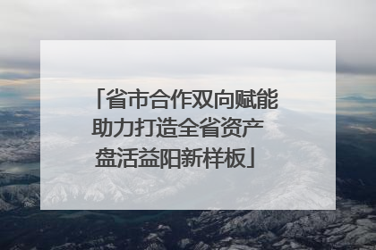 省市合作双向赋能 助力打造全省资产盘活益阳新样板