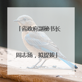 省政府副秘书长周志扬，拟提拔
