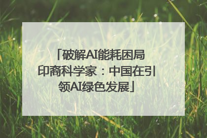 破解AI能耗困局 印裔科学家：中国在引领AI绿色发展