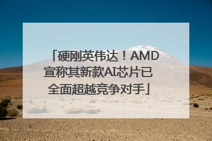 硬刚英伟达！AMD宣称其新款AI芯片已全面超越竞争对手