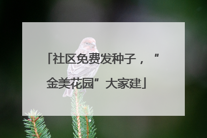 社区免费发种子，“金美花园”大家建