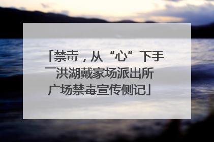 禁毒，从“心”下手――洪湖戴家场派出所广场禁毒宣传侧记