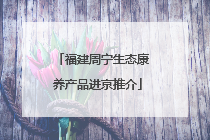 福建周宁生态康养产品进京推介