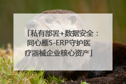 私有部署+数据安全：同心雁S-ERP守护医疗器械企业核心资产