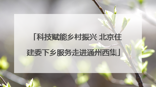 科技赋能乡村振兴 北京住建委下乡服务走进通州西集