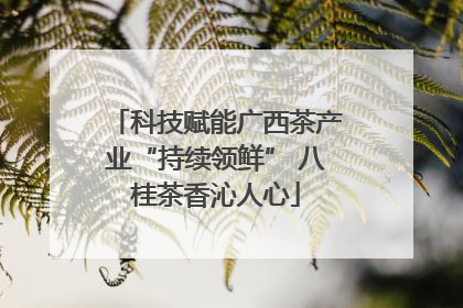科技赋能广西茶产业“持续领鲜” 八桂茶香沁人心