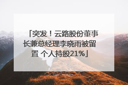 突发！云路股份董事长兼总经理李晓雨被留置 个人持股21%
