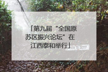 第九届“全国原苏区振兴论坛”在江西泰和举行