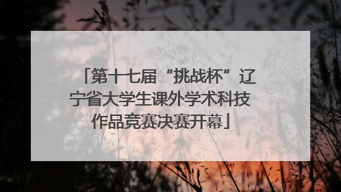 第十七届“挑战杯”辽宁省大学生课外学术科技作品竞赛决赛开幕