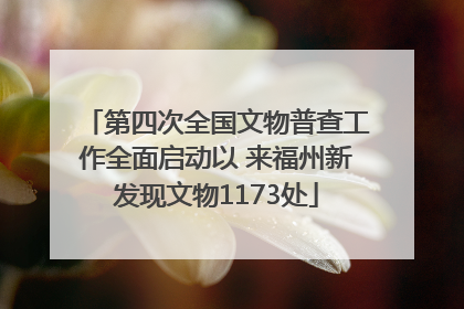 第四次全国文物普查工作全面启动以 来福州新发现文物1173处