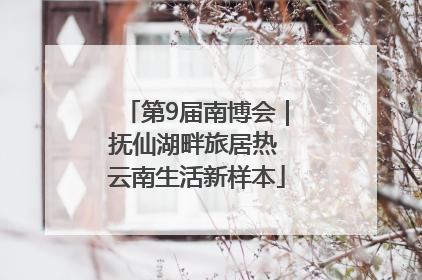 第9届南博会｜抚仙湖畔旅居热 云南生活新样本