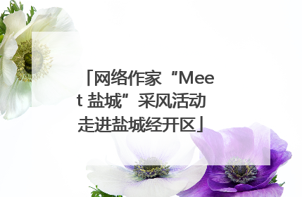 网络作家“Meet 盐城”采风活动走进盐城经开区