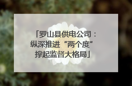 罗山县供电公司：纵深推进“两个度” 撑起监督大格局