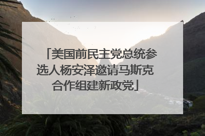美国前民主党总统参选人杨安泽邀请马斯克合作组建新政党