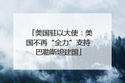 美国驻以大使：美国不再“全力”支持巴勒斯坦建国