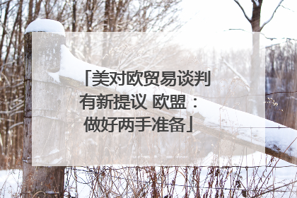 美对欧贸易谈判有新提议 欧盟：做好两手准备