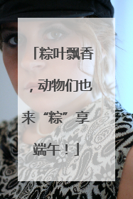 粽叶飘香，动物们也来“粽”享端午！