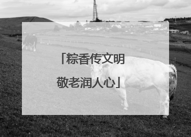 粽香传文明 敬老润人心