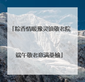 粽香情暖豫灵镇敬老院 端午敬老意满桑榆