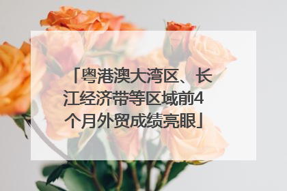 粤港澳大湾区、长江经济带等区域前4个月外贸成绩亮眼