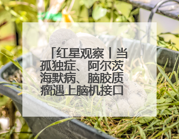 红星观察丨当孤独症、阿尔茨海默病、脑胶质瘤遇上脑机接口，成都科研改变医学图景